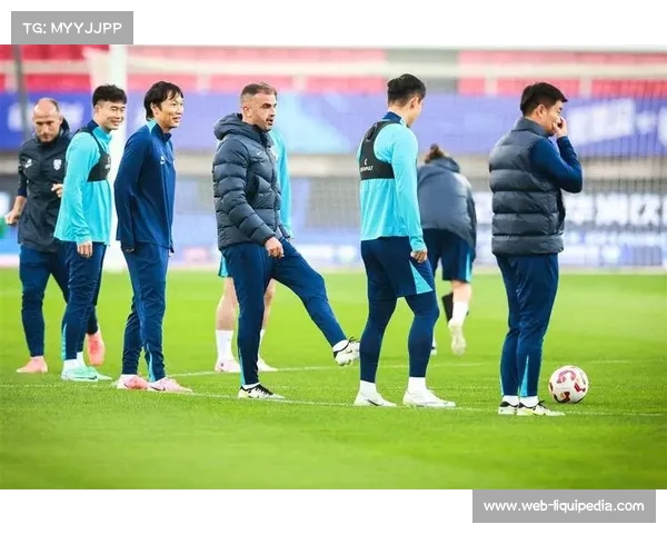 武汉三镇赛季表现低于预期，休赛期调整任务艰巨